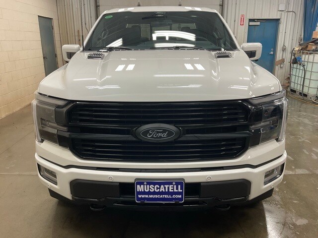 2025 Ford F-150 Platinum photo 2