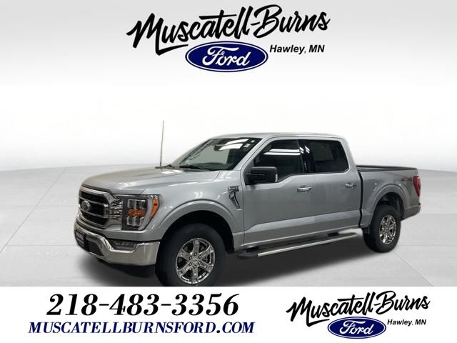 2023 Ford F-150 XLT's photo