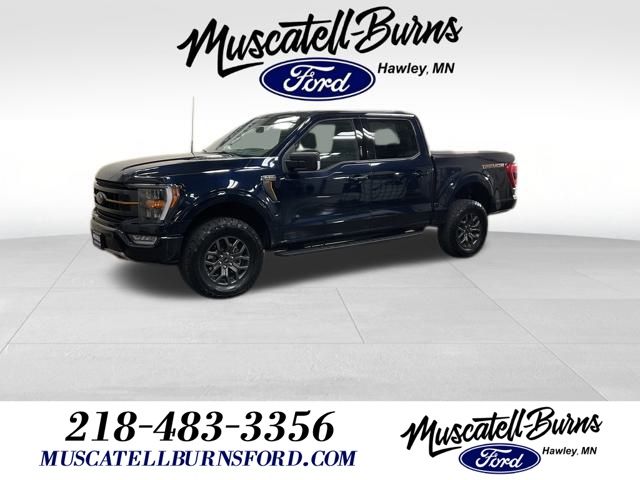 2023 Ford F-150 Tremor's photo