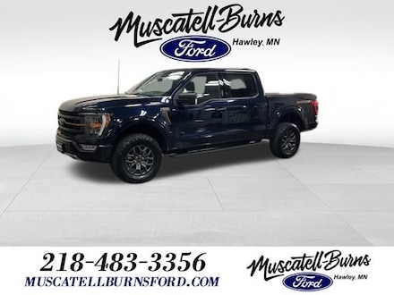 2023 Ford F-150 Tremor Truck