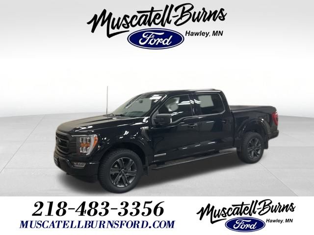 2023 Ford F-150 XLT's photo