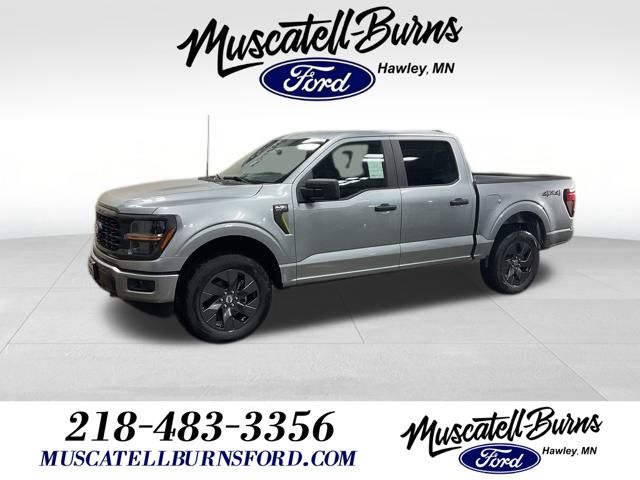 2025 Ford F-150 STX's photo