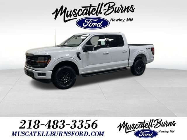 2025 Ford F-150 XLT's photo