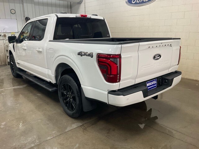 2025 Ford F-150 Platinum photo 4