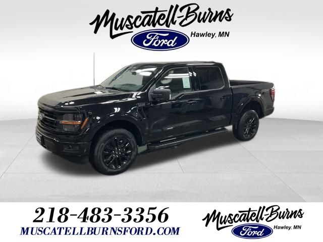 2025 Ford F-150 XLT's photo