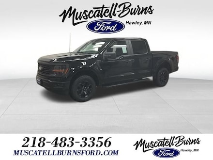 2025 Ford F-150 STX Truck