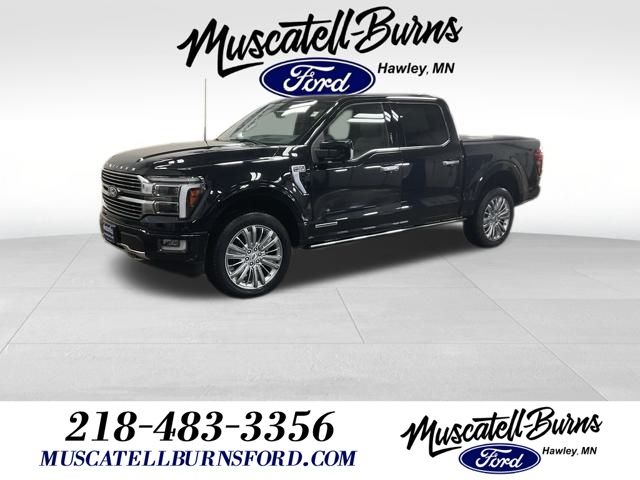 2024 Ford F-150 Platinum's photo