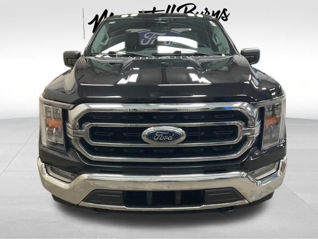Used 2023 Ford F-150 XLT with VIN 1FTEW1EPXPKD68555 for sale in Hawley, Minnesota