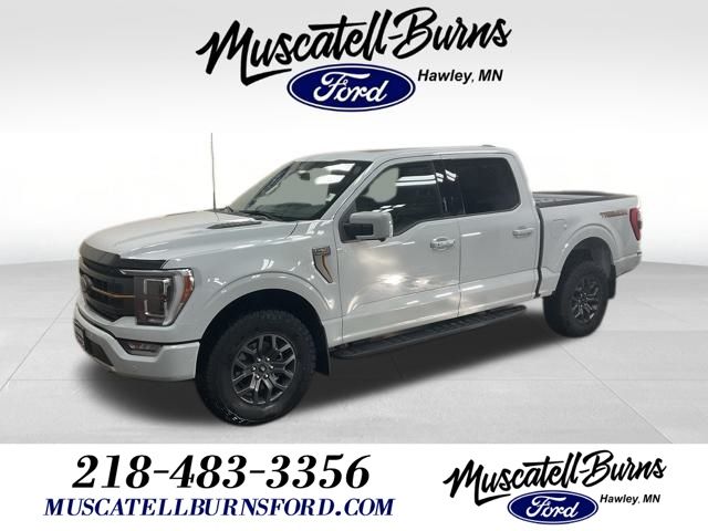 2023 Ford F-150 Tremor's photo