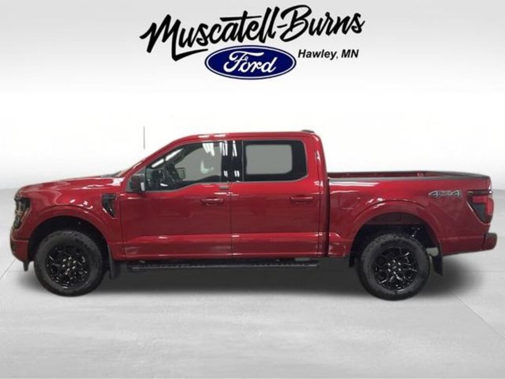 New 2025 Ford F-150 XLT Truck