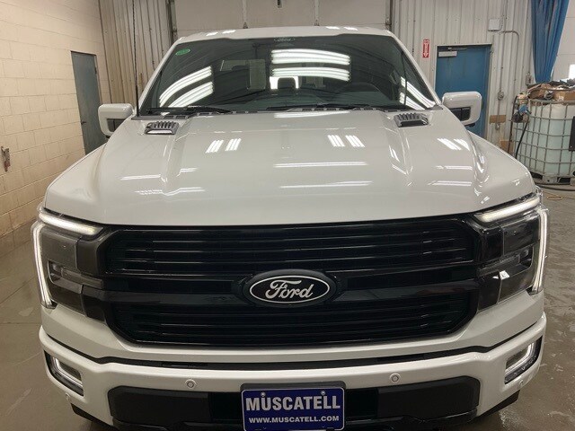 2025 Ford F-150 Platinum photo 2