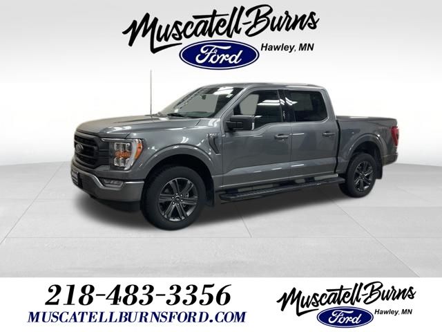 2023 Ford F-150 XLT 4x4 SuperCrew 5-1/2 Box's photo