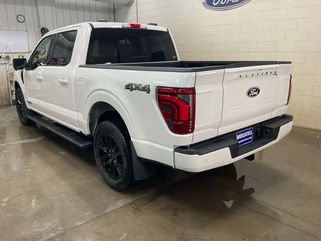 2025 Ford F-150 Platinum photo 3