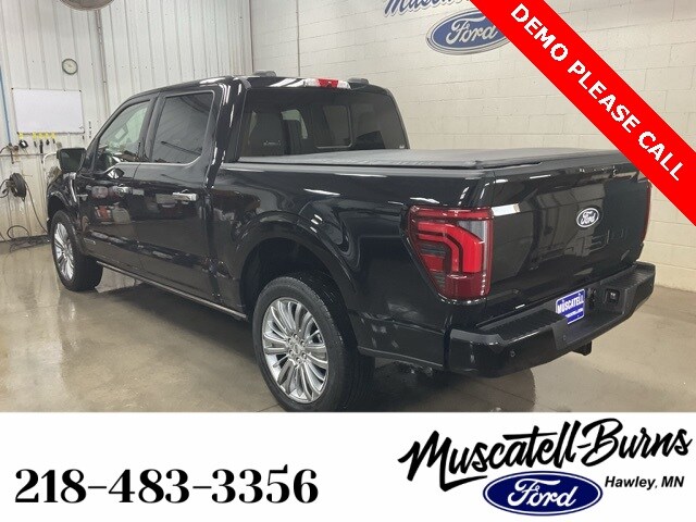 2024 Ford F-150 Platinum photo 3