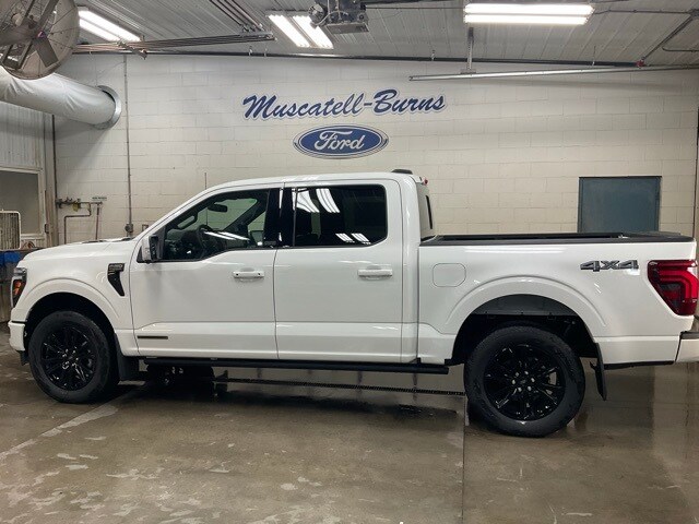 2025 Ford F-150 Platinum photo 3