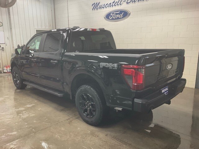 2025 Ford F-150 STX photo 3