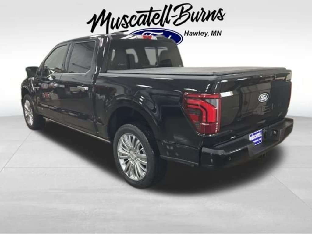 Used 2024 Ford F-150 Platinum Truck
