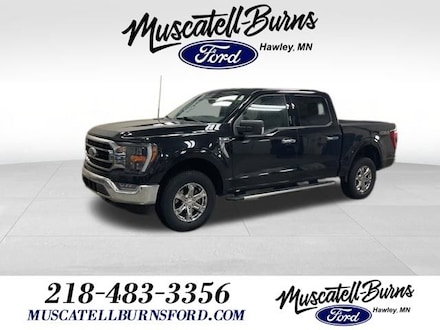 2023 Ford F-150 XLT Truck