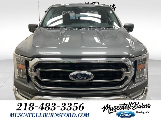 Used 2022 Ford F-150 XLT with VIN 1FTEW1EP4NKD40635 for sale in Hawley, Minnesota