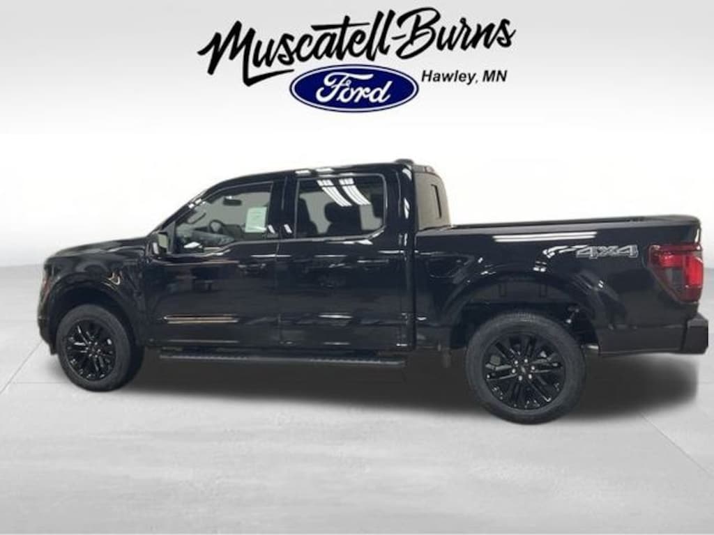 New 2025 Ford F-150 XLT Truck