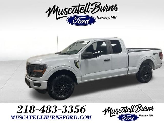 2025 Ford F-150 STX's photo