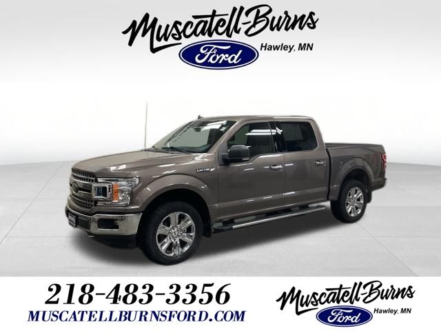 2019 Ford F-150 XLT's photo