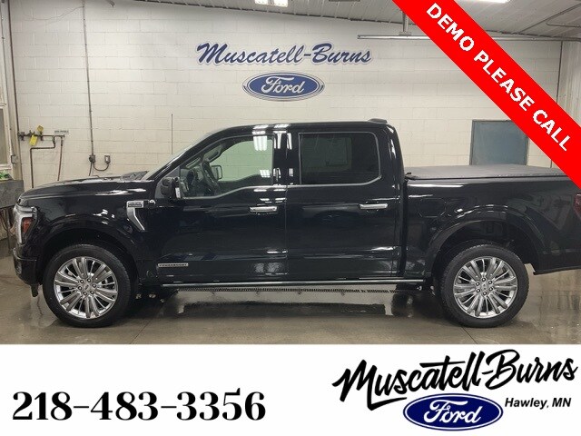 2024 Ford F-150 Platinum photo 4