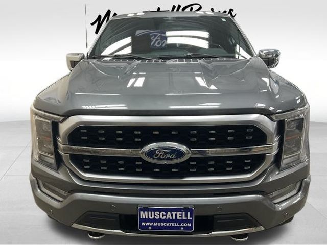 Used 2023 Ford F-150 Platinum with VIN 1FTFW1E82PFB93742 for sale in Hawley, Minnesota