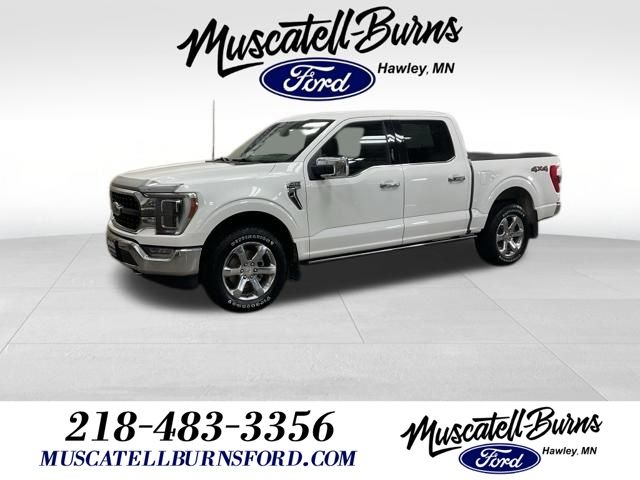 2021 Ford F-150 Truck 