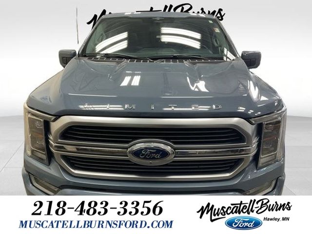 Used 2023 Ford F-150 Limited with VIN 1FTFW1ED6PFC32720 for sale in Hawley, Minnesota