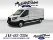  Ford Transit-250