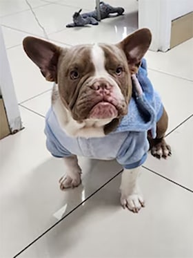 Staff member Rocky Dorsey from ID_29f013