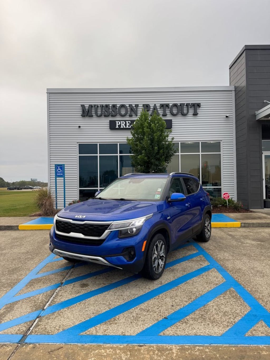 Used 2023 Kia Seltos EX