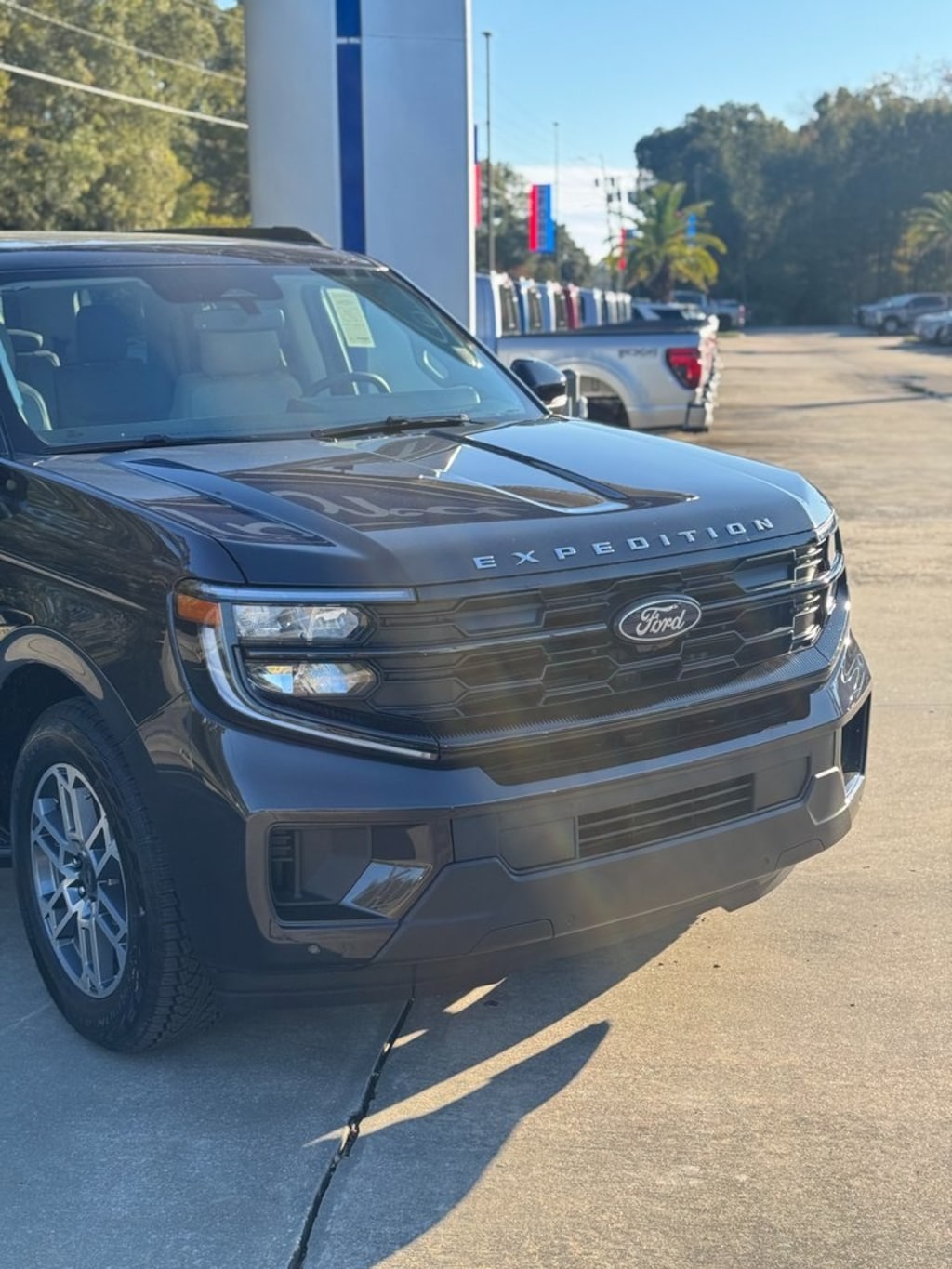 New 2025 Ford Expedition Active SUV