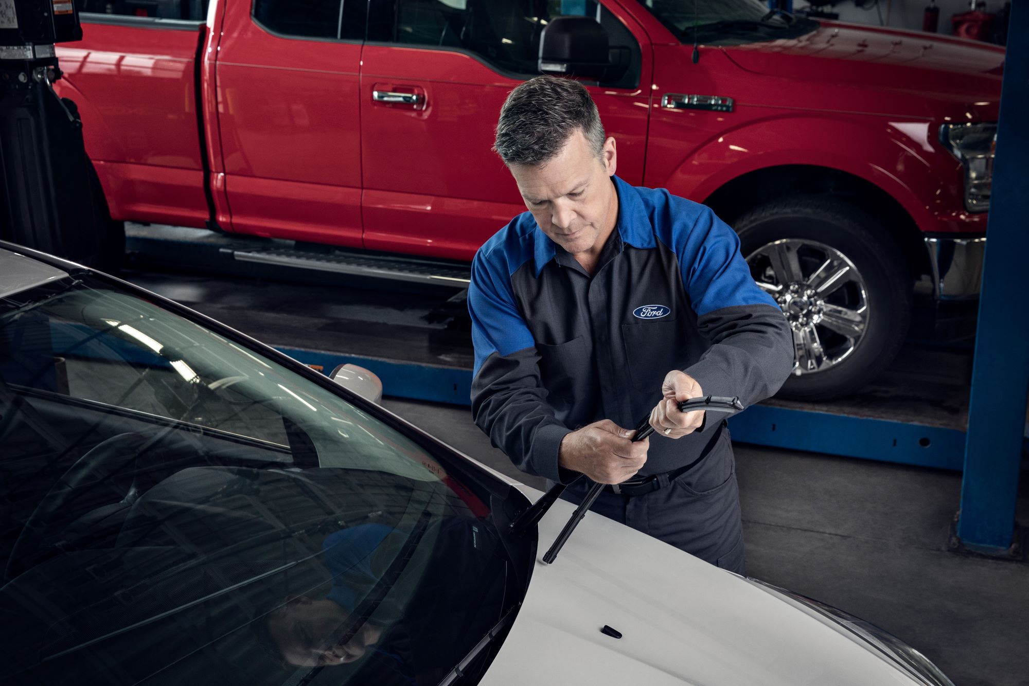 Windshield Protection