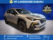  Subaru Crosstrek
