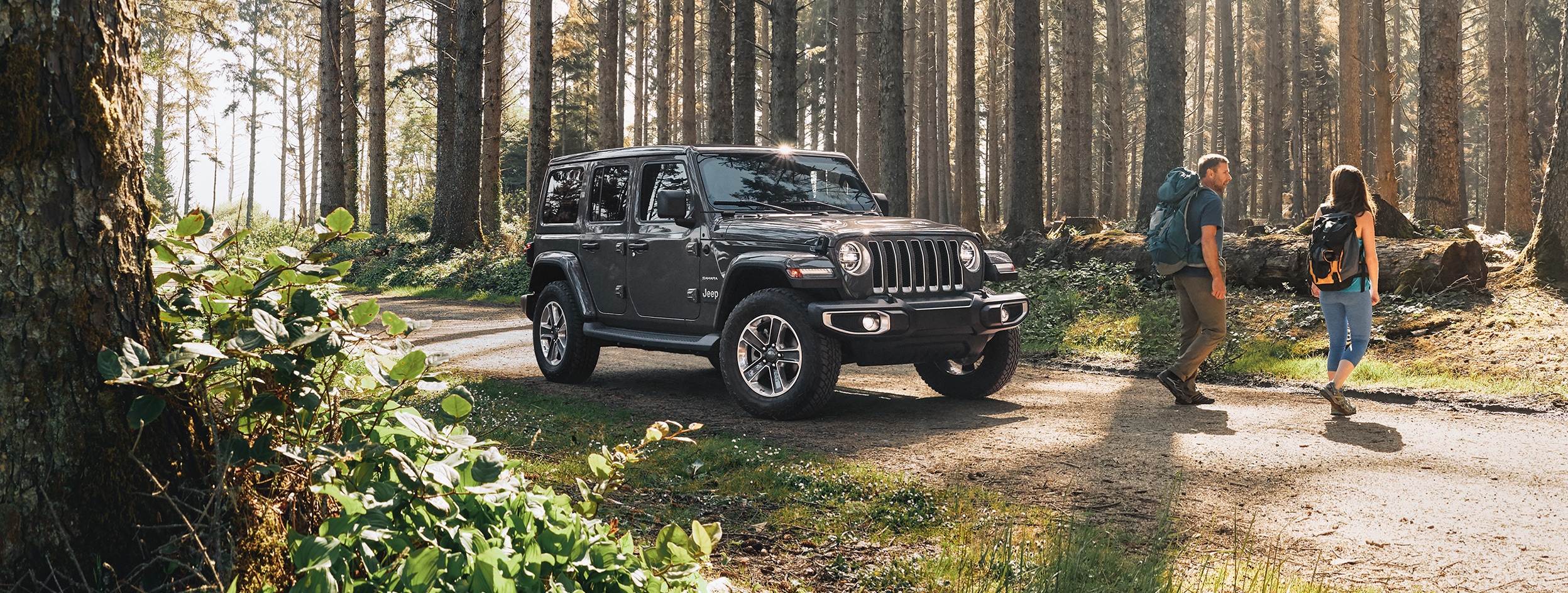 Jeep Wrangler in Salinas, California