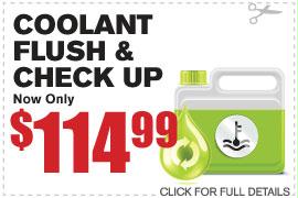 Coolant Flush & Check Up