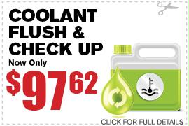 Coolant Flush & Check Up