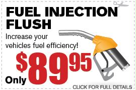Fuel Injection Flush