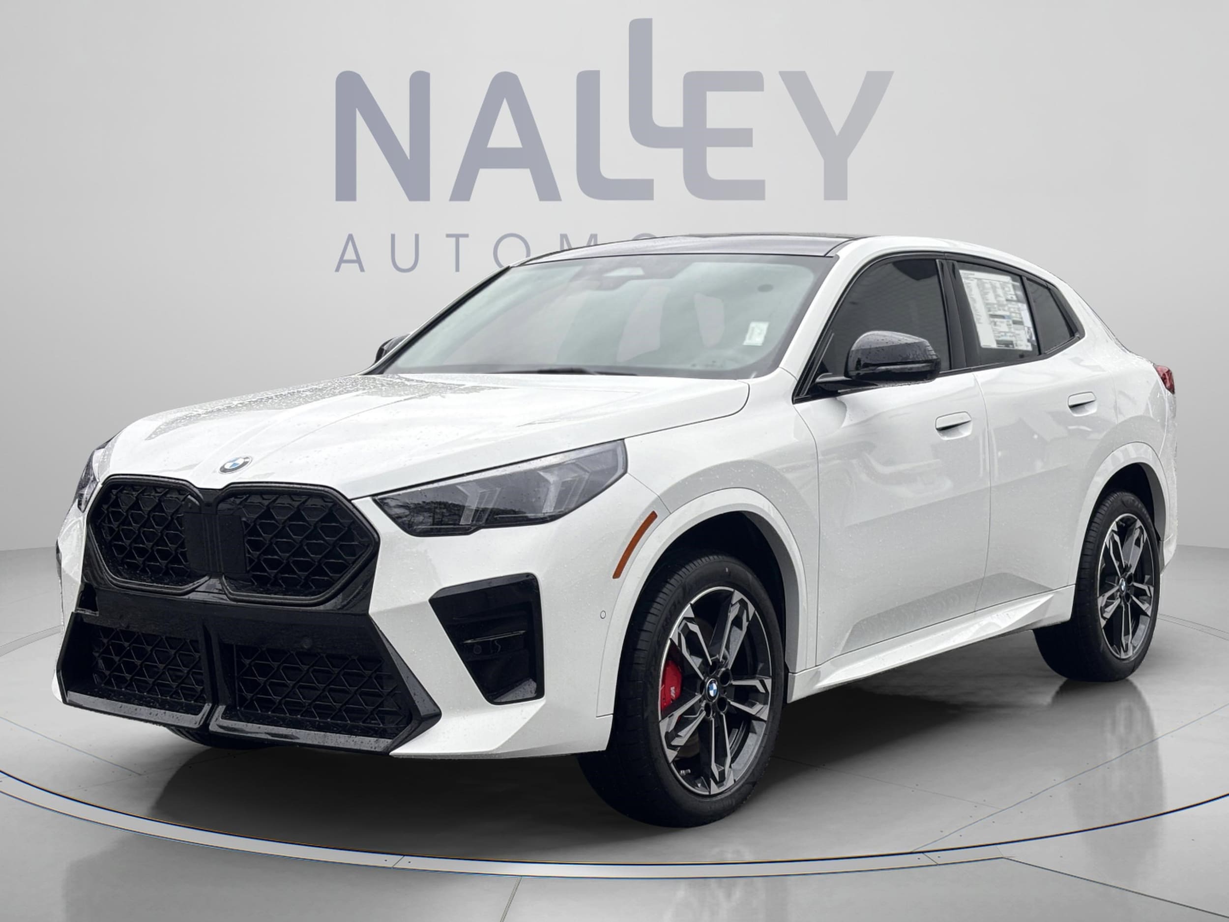 2026 BMW X2 xDrive28i's photo