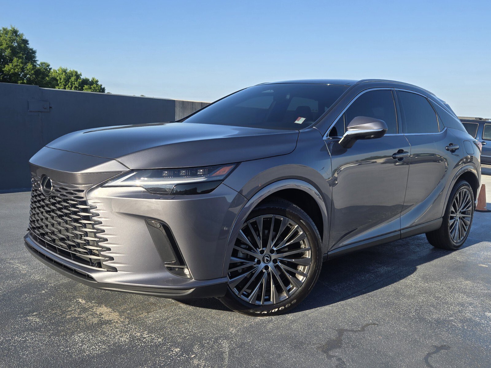 2023 Lexus RX 350h 350h Luxury AWD's photo