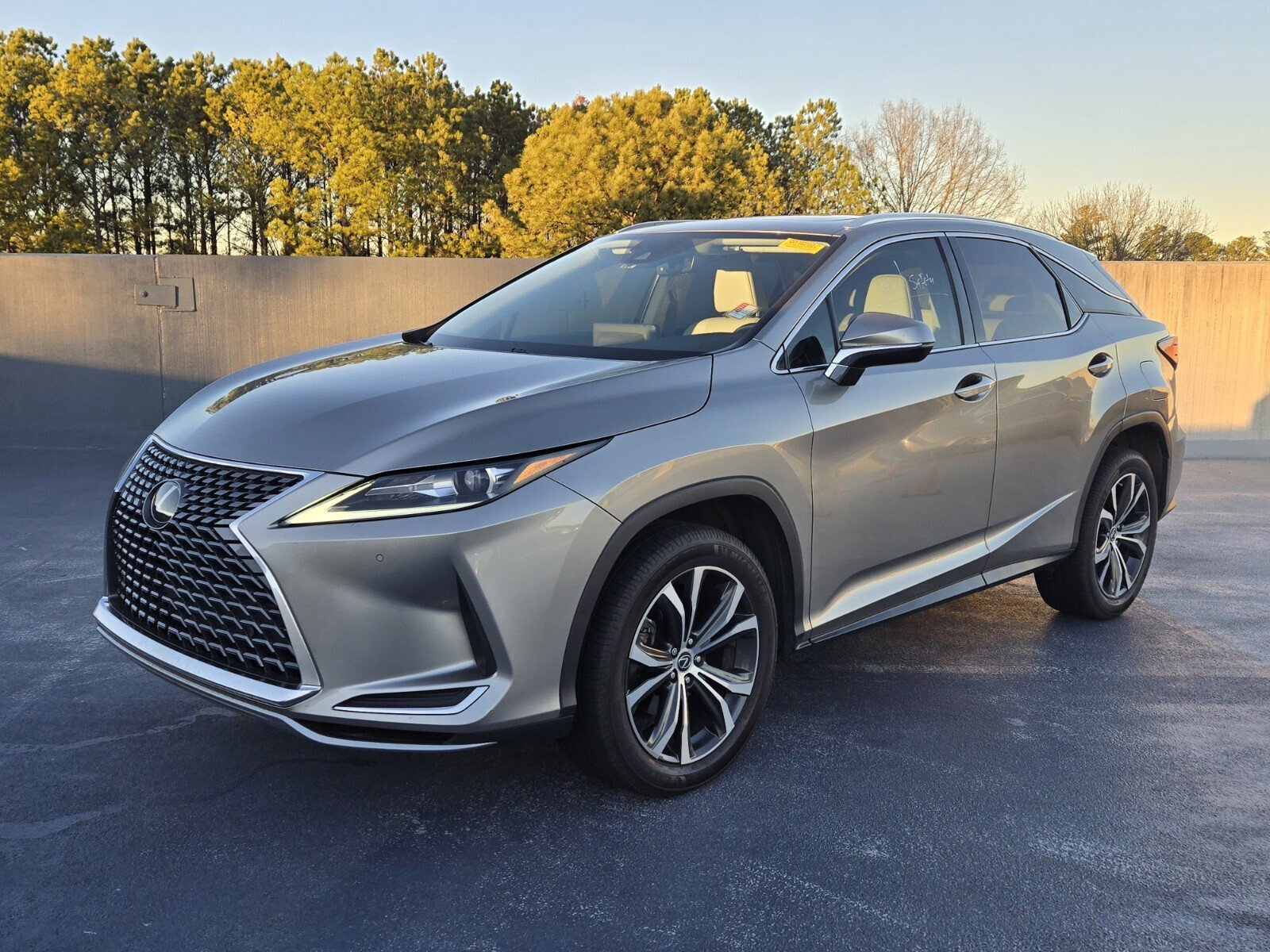2020 Lexus RX 350's photo