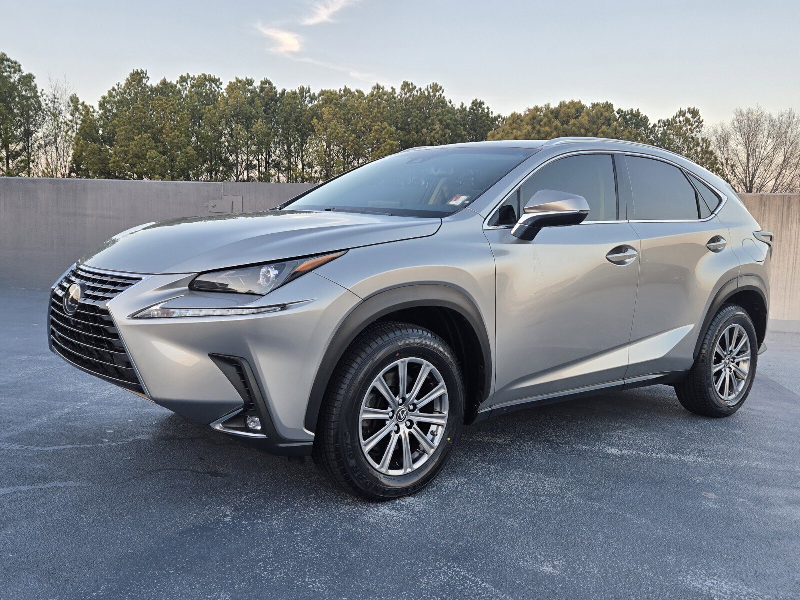 2019 Lexus NX 300's photo