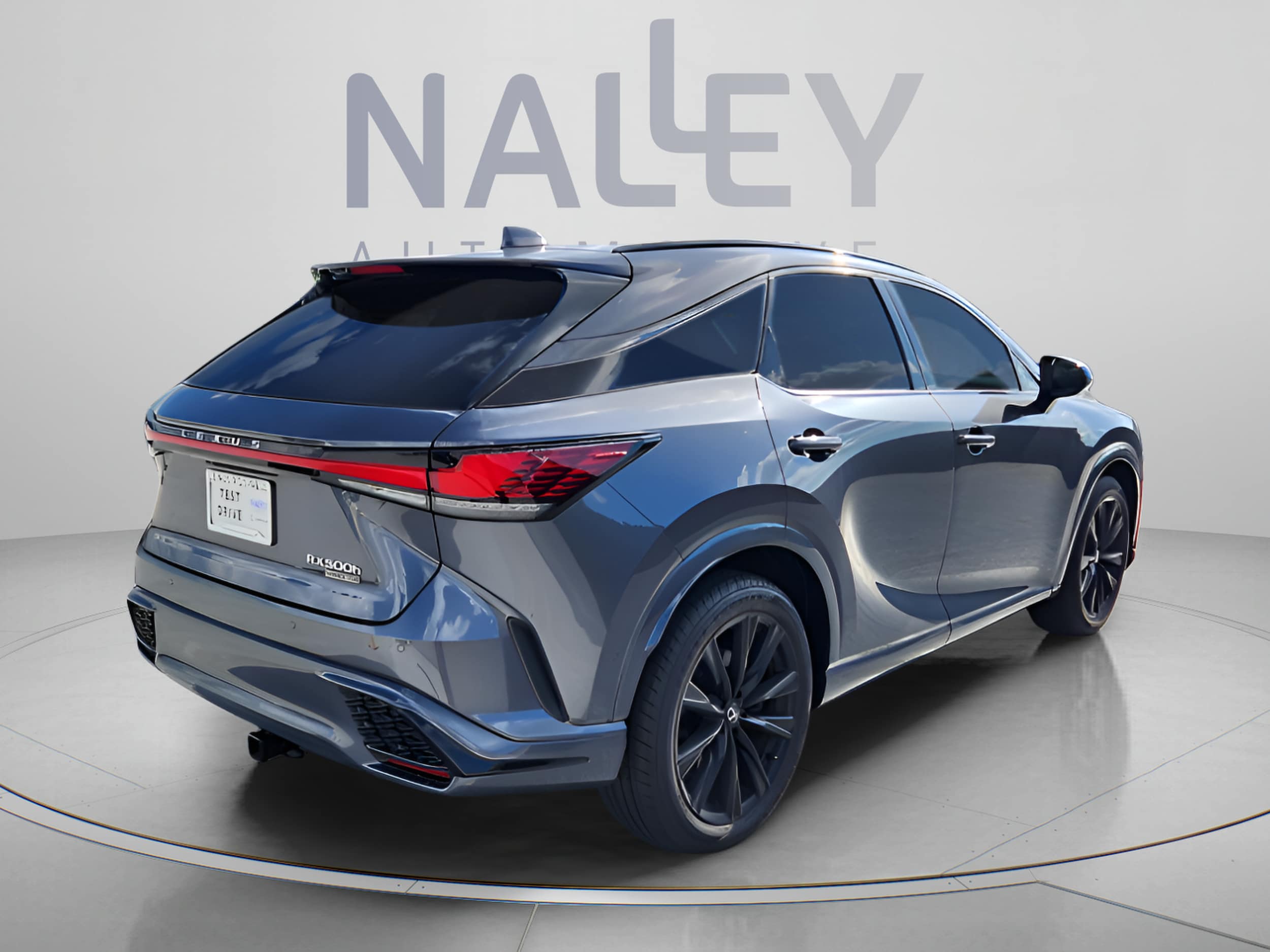 2024 Lexus RX Hybrid 500h - Photo 6