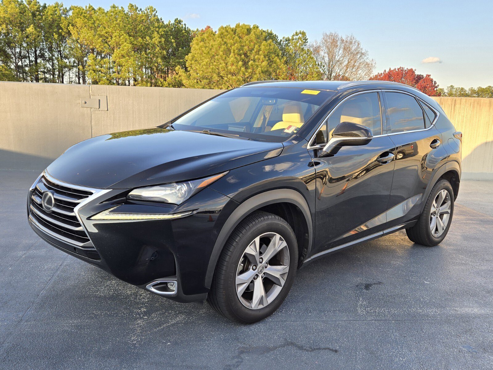2017 Lexus NX 200t's photo