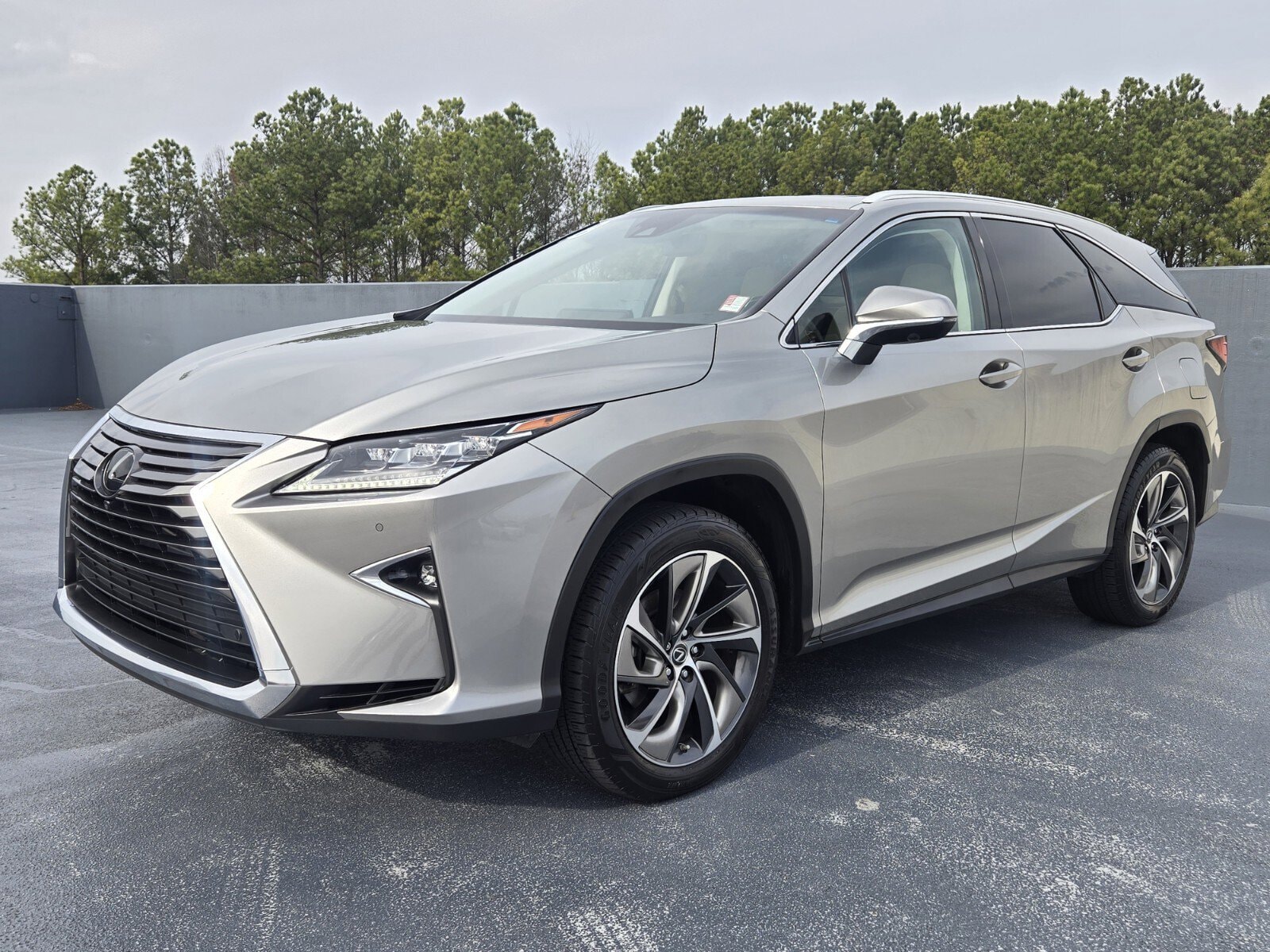 2018 Lexus RX LUXURY's photo