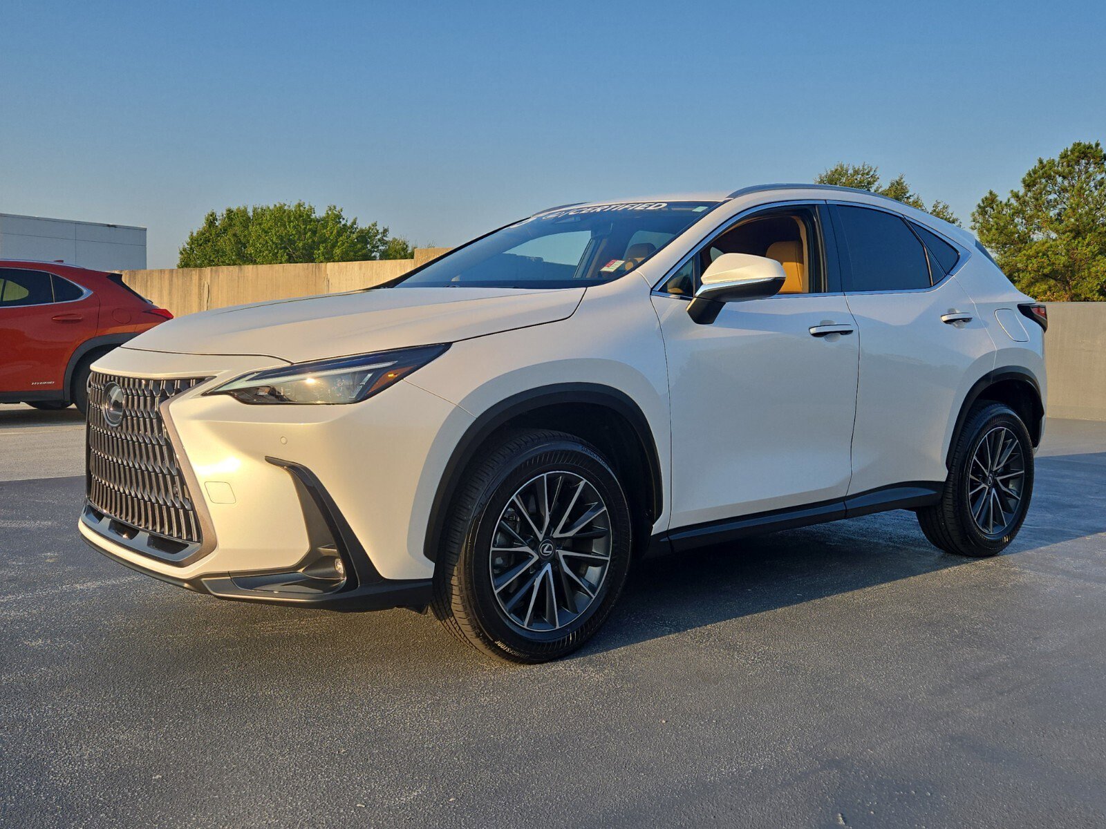 2025 Lexus NX 250 photo 3