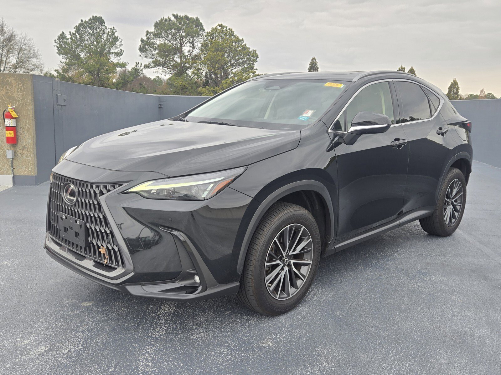 2022 Lexus NX 250's photo