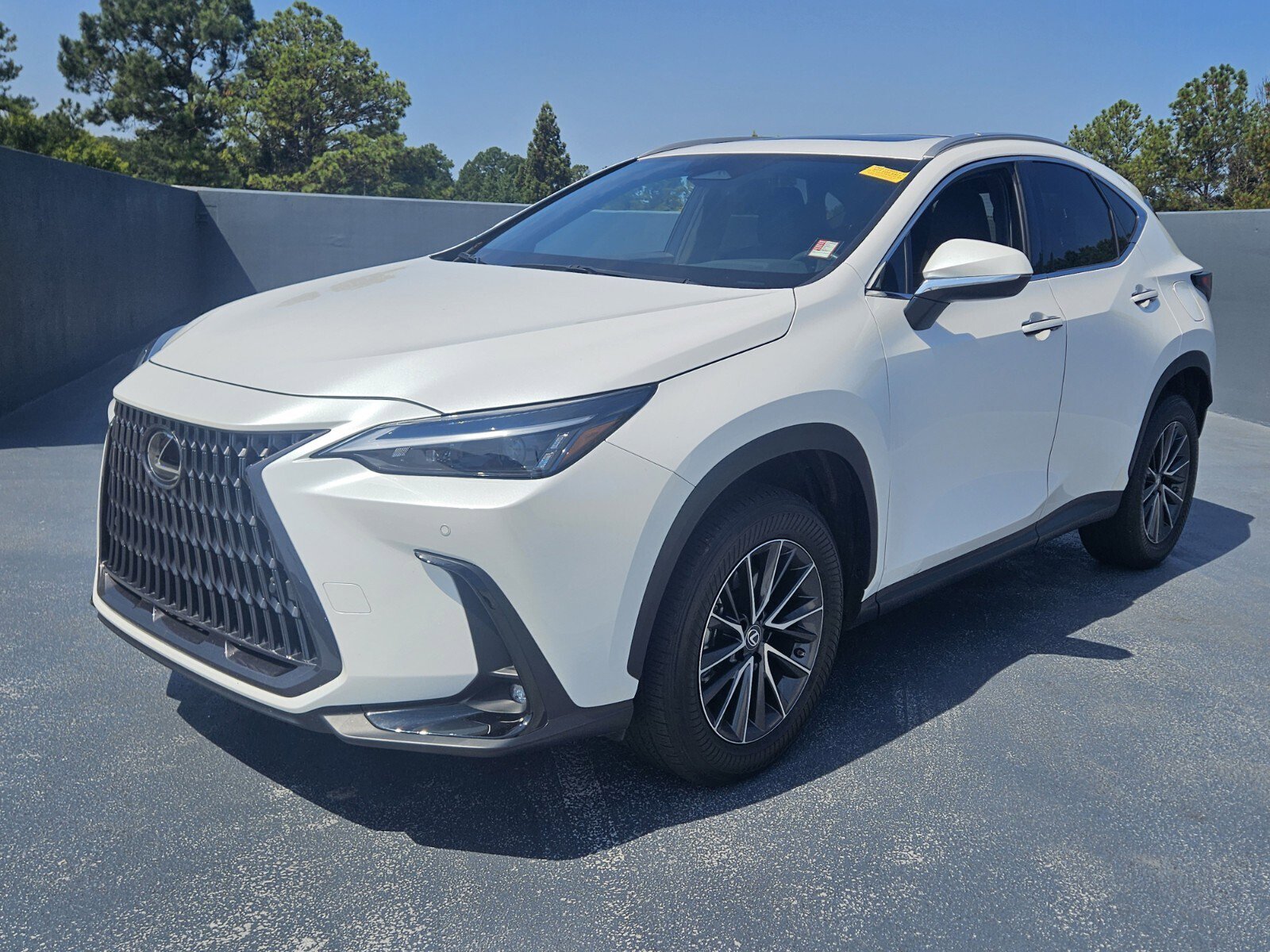 2022 Lexus NX 250 Premium photo 2